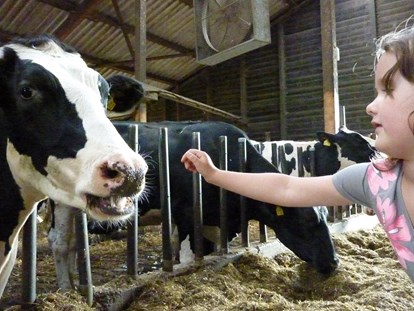 Luxuscamping - Deutschland - auf einem Bauernhof gibt es für Kinder viel zu entdecken, ein wahres Vergnügen.  - Ur Laub`s Hof